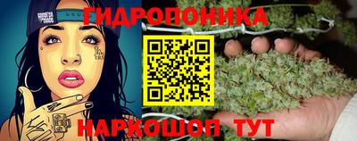 молекула духа Славянск-на-Кубани